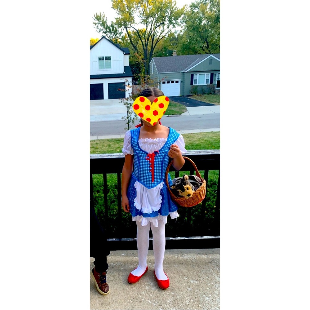 Dorothy Halloween Costume.